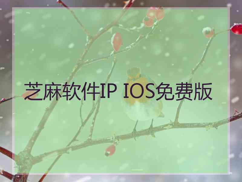 芝麻软件IP IOS免费版