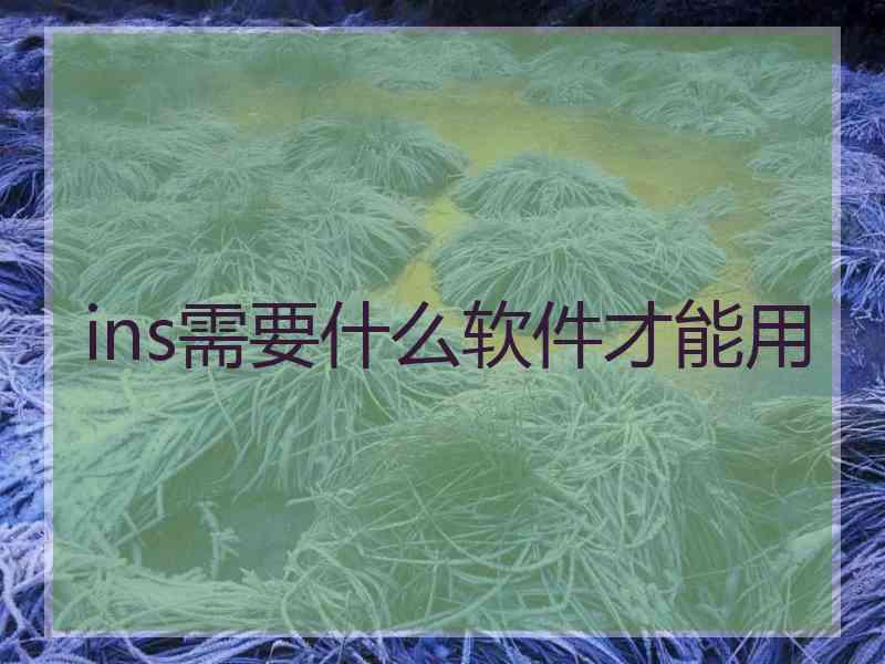ins需要什么软件才能用