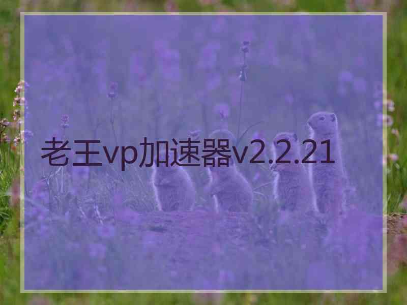 老王vp加速器v2.2.21