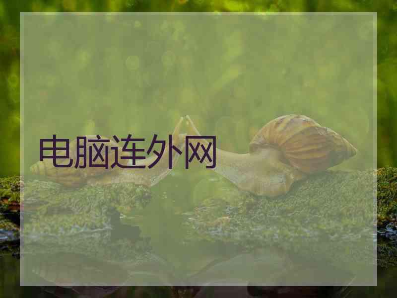 电脑连外网