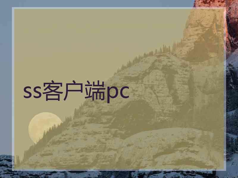 ss客户端pc