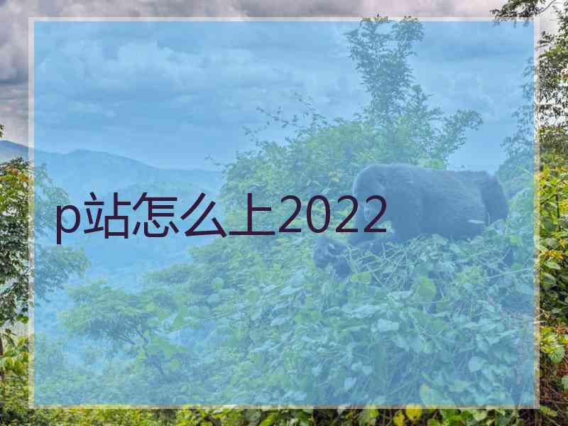 p站怎么上2022