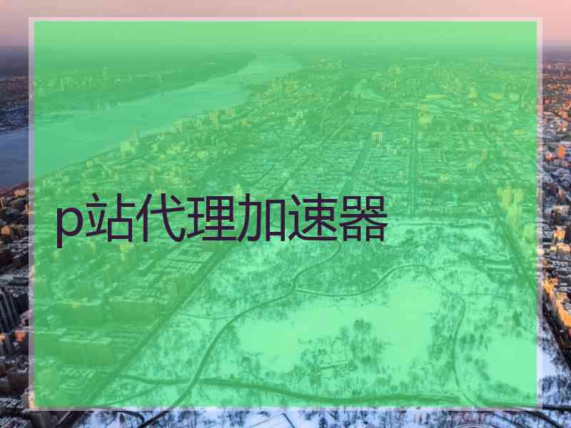 p站代理加速器