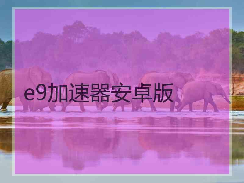 e9加速器安卓版