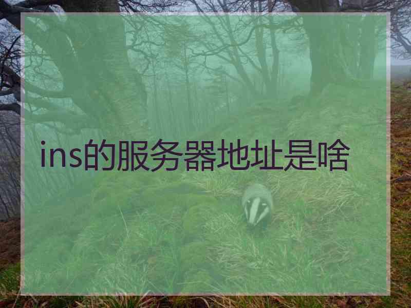 ins的服务器地址是啥