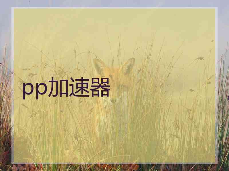 pp加速器