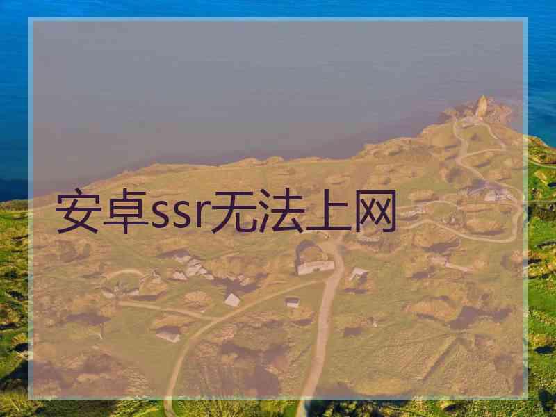 安卓ssr无法上网